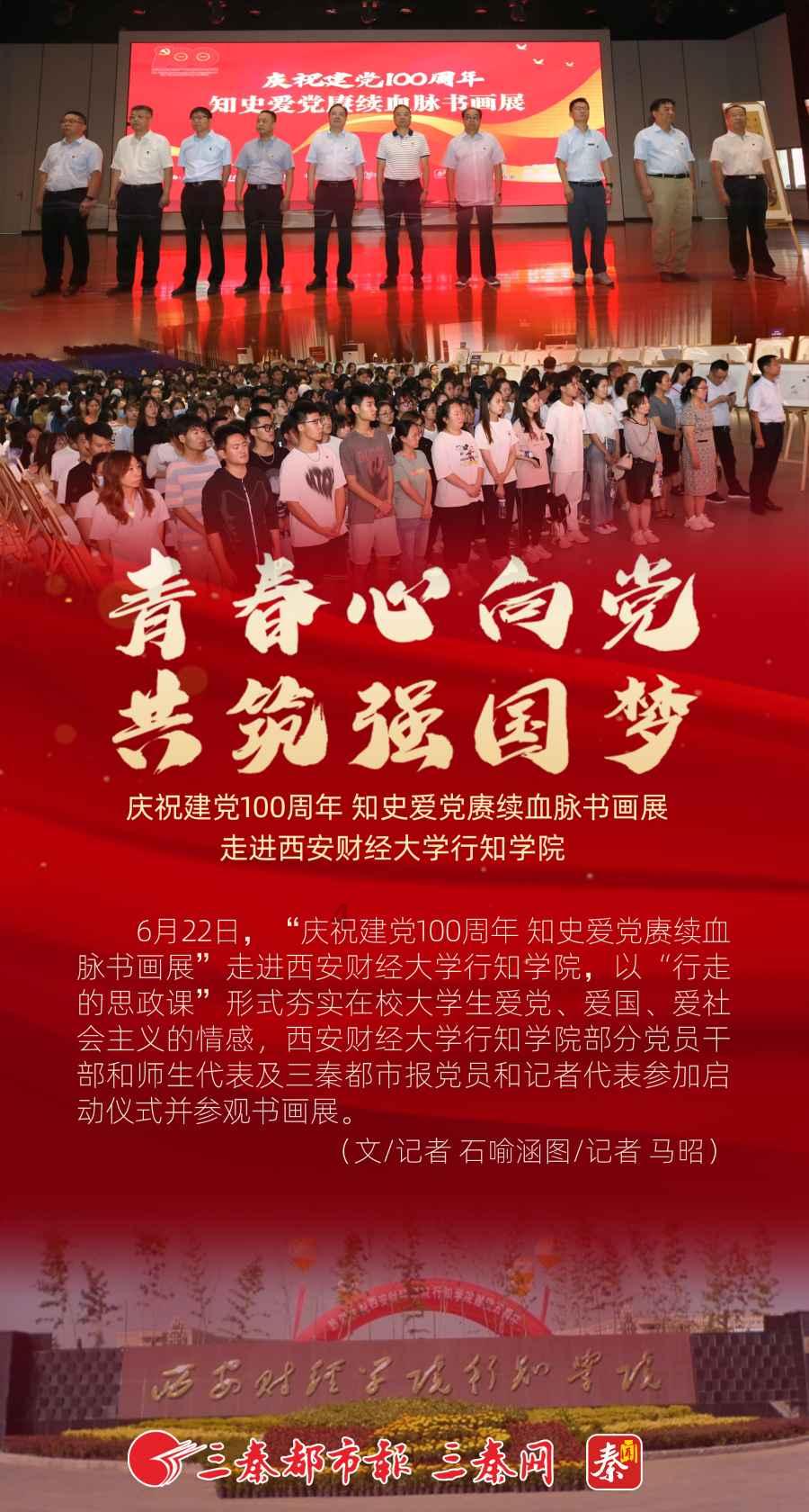 救援萌老虎