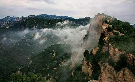 梦想的后院